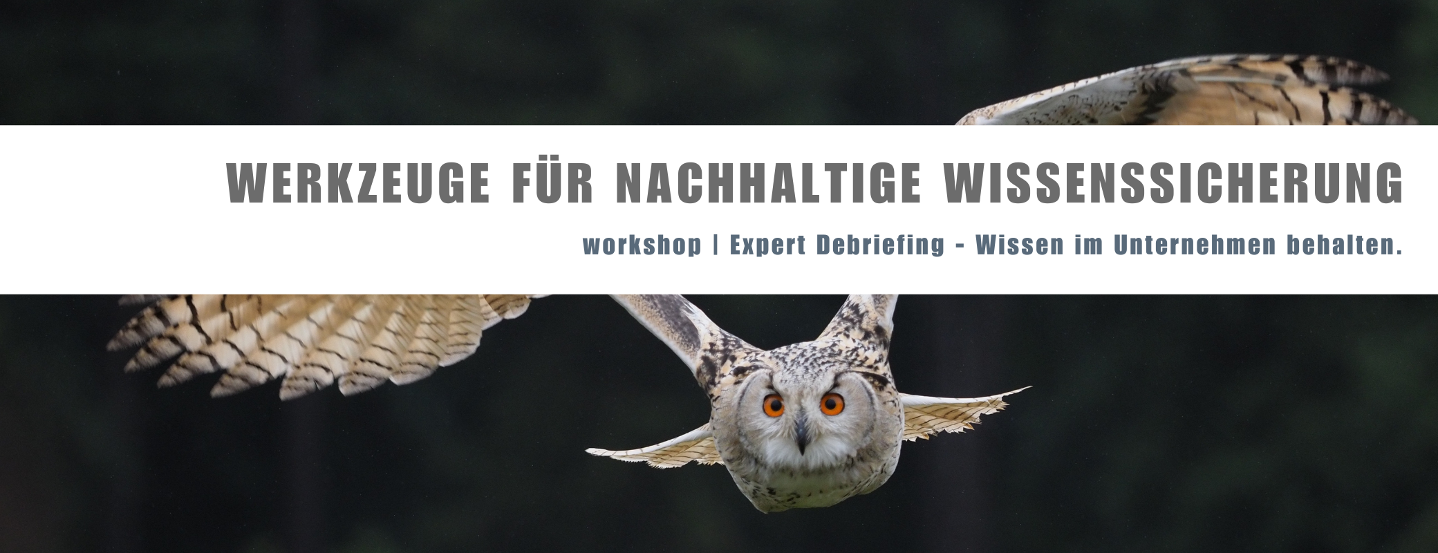 Workshop Expert debriefing