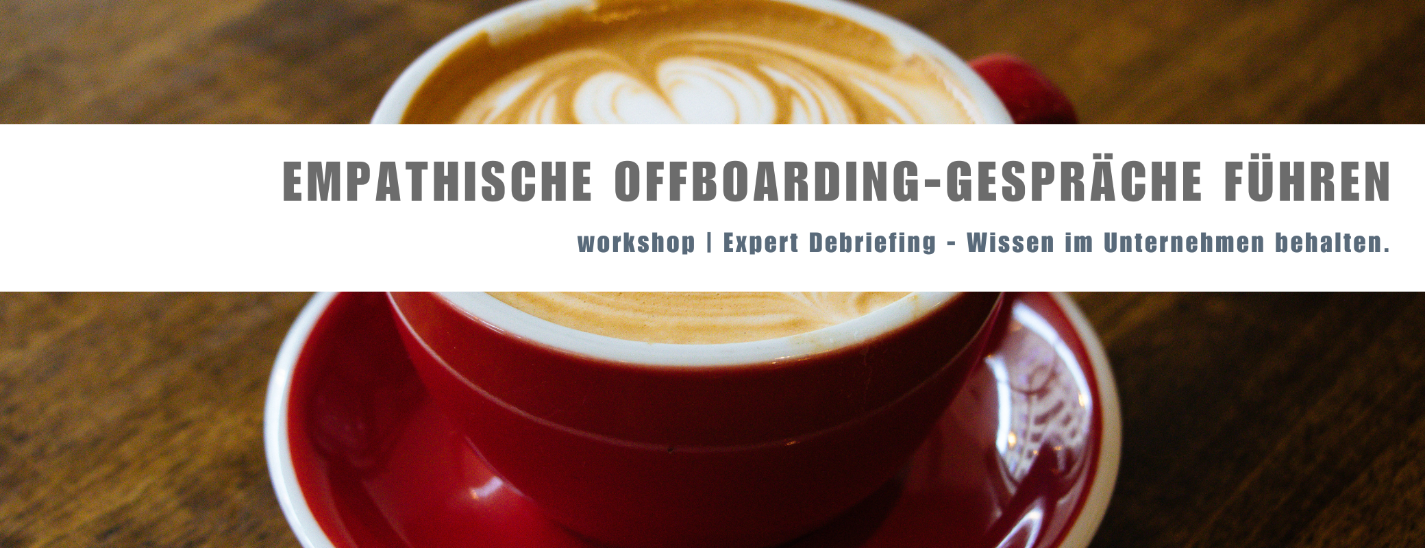 Workshop Expert debriefing