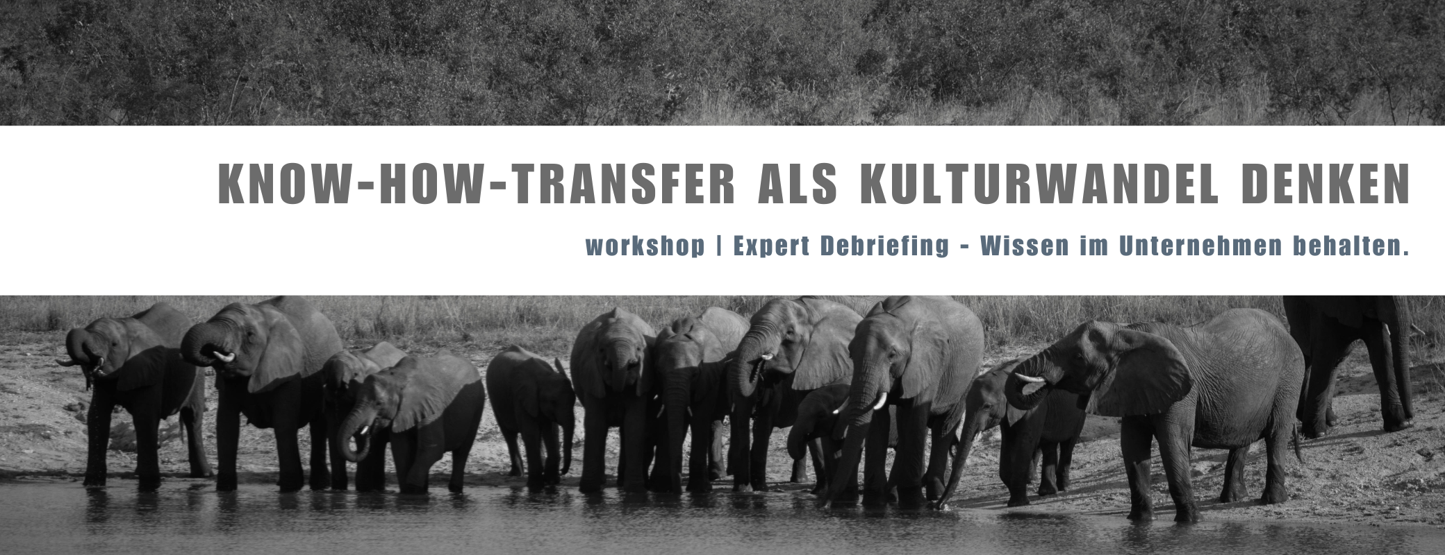 Workshop Expert debriefing