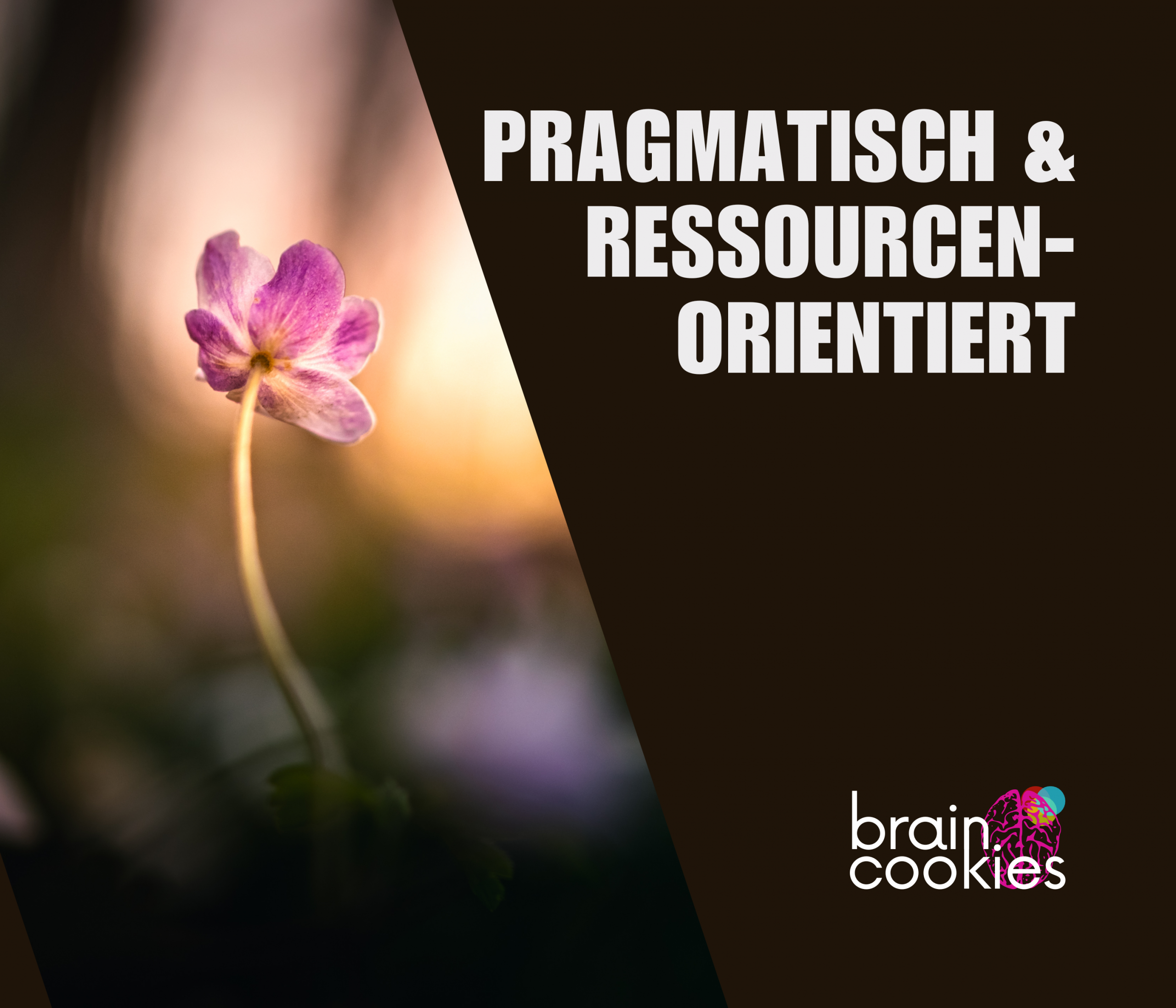 Pragmatisch & Ressourcenorientiert Pragmatisch & Ressourcenorientiert