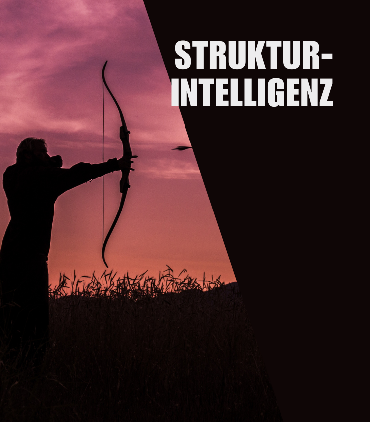 Strukturintelligenz Workshops Strukturintelligenz Workshops