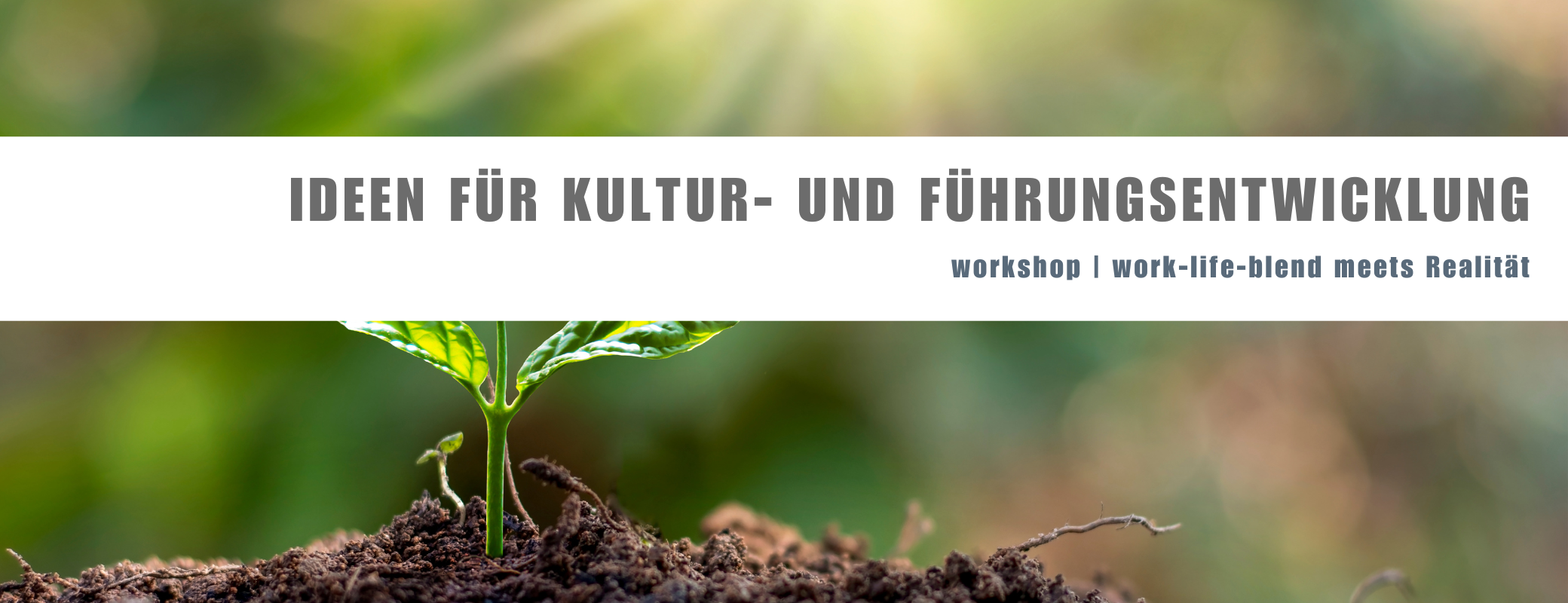 workshop Ideen für Kultur- und Führungsentwicklung