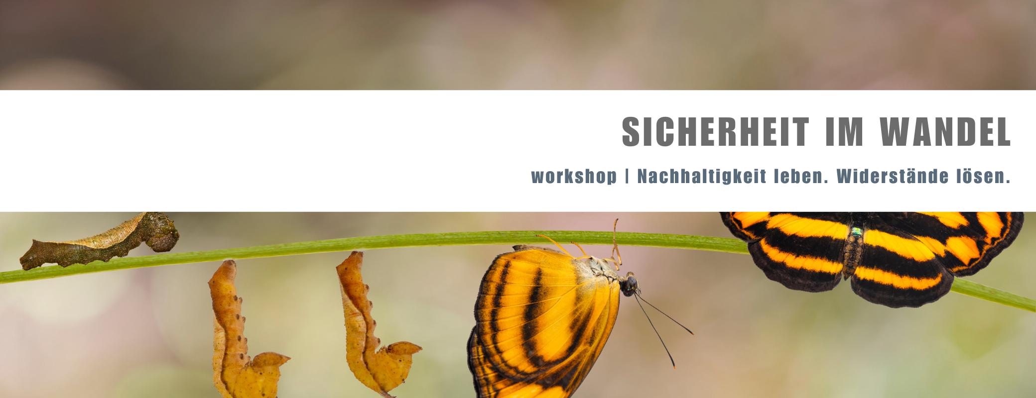 Workshop Nachhaltigkeit