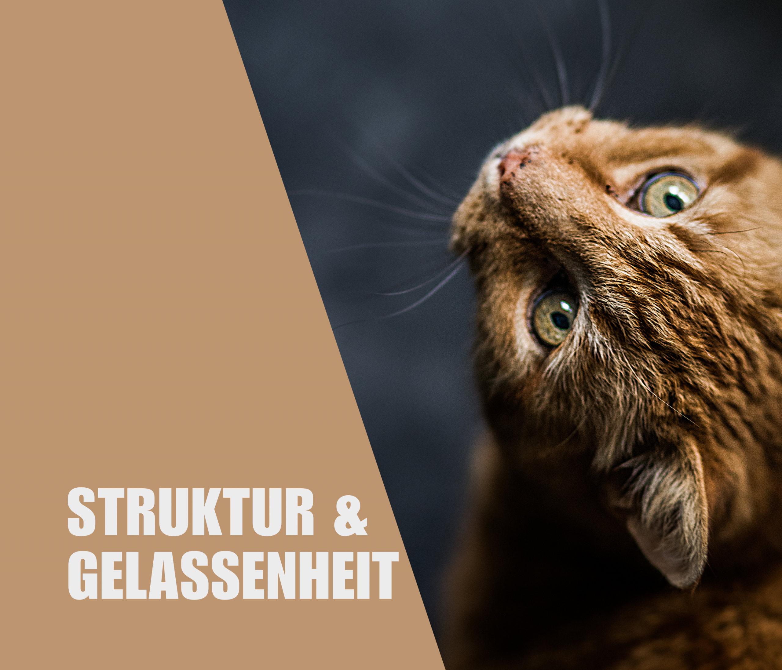 Struktur & Gelassenheit
